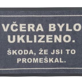 GDmats koberce Rohožka Včera bolo upratané (škoda že si to premeškal) 40x60 cm - 40x60 cm