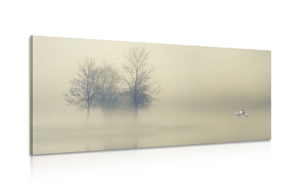 Obraz stromy v hmle - 120x60
