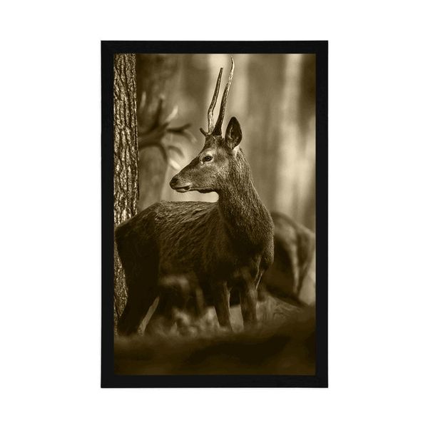Plagát jeleň v borovicovom lese v sépiovom prevedení - 30x45 black