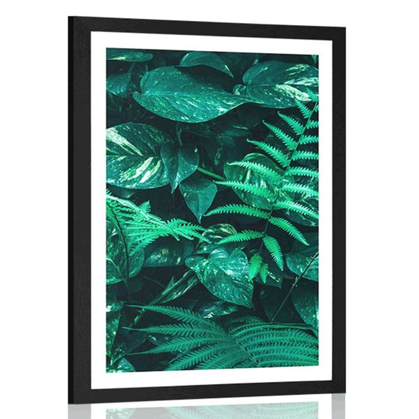 Plagát s paspartou svieže tropické listy - 20x30 black
