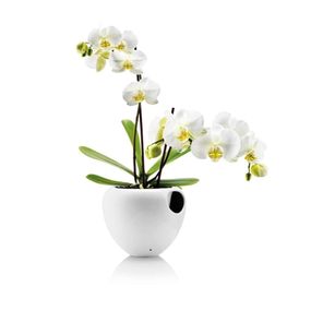 Eva Solo Samozavlažovací obal na kvetináč Orchid Pot White