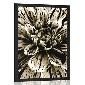 Plagát exotická dália v sépiovom prevedení - 40x60 black