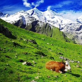 Fototapeta Príroda v Alpách 10107 - vliesová