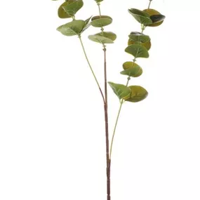 Umelá kvetina Eukalyptus vetva, zelená