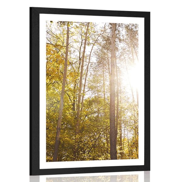 Plagát s paspartou les v jesenných farbách - 40x60 white