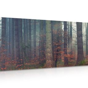 Obraz tajomstvo lesa - 120x60
