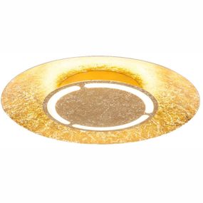 Stropné/nástenné svietidlo LED Tabea 41900-24 (zlatá)
