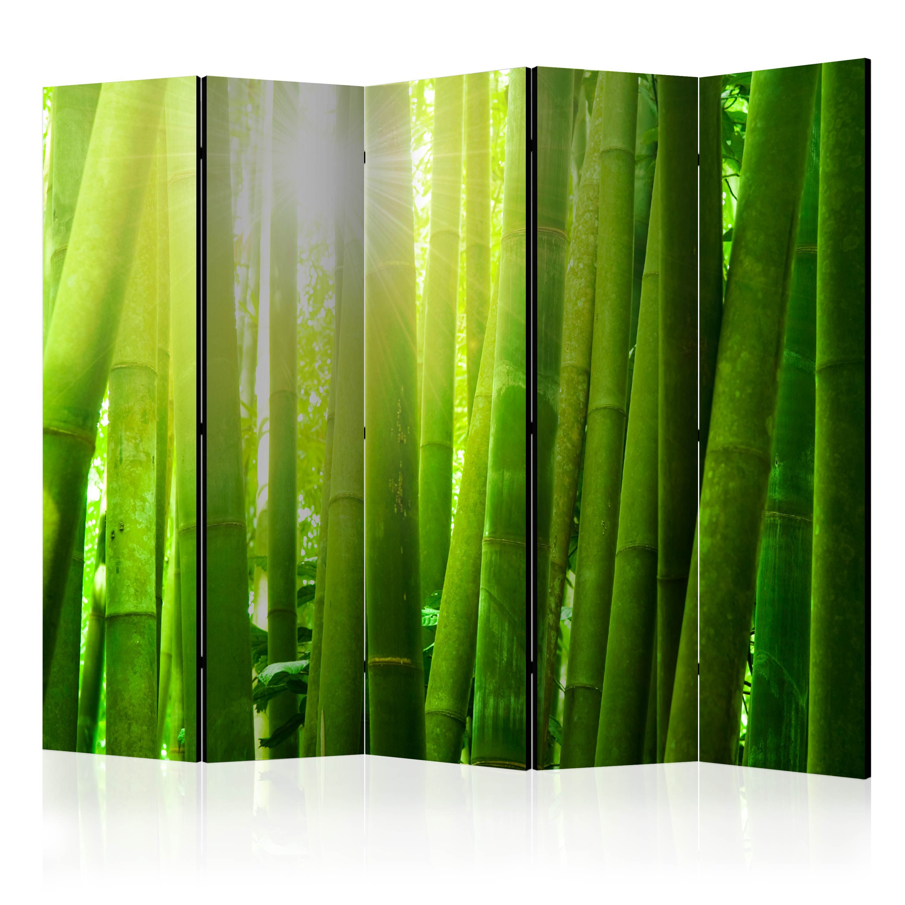 Artgeist Paraván - Sun and bamboo [Room Dividers]