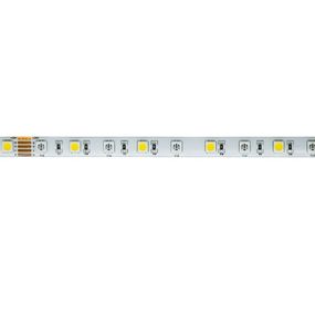 Light Impressions Deko-Light flexibilní LED pásek 5050-60-24V-RGB+4000K-5m-Silikon 24V DC 65,00 W 4000 K 3155 lm 5000 840373