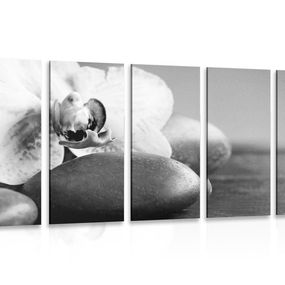 5-dielny obraz orchidea a kamene v čiernobielom prevedení