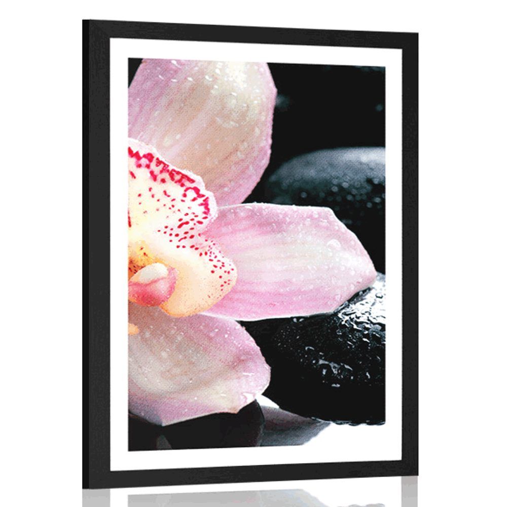 Plagát s paspartou exotická orchidea - 40x60 black