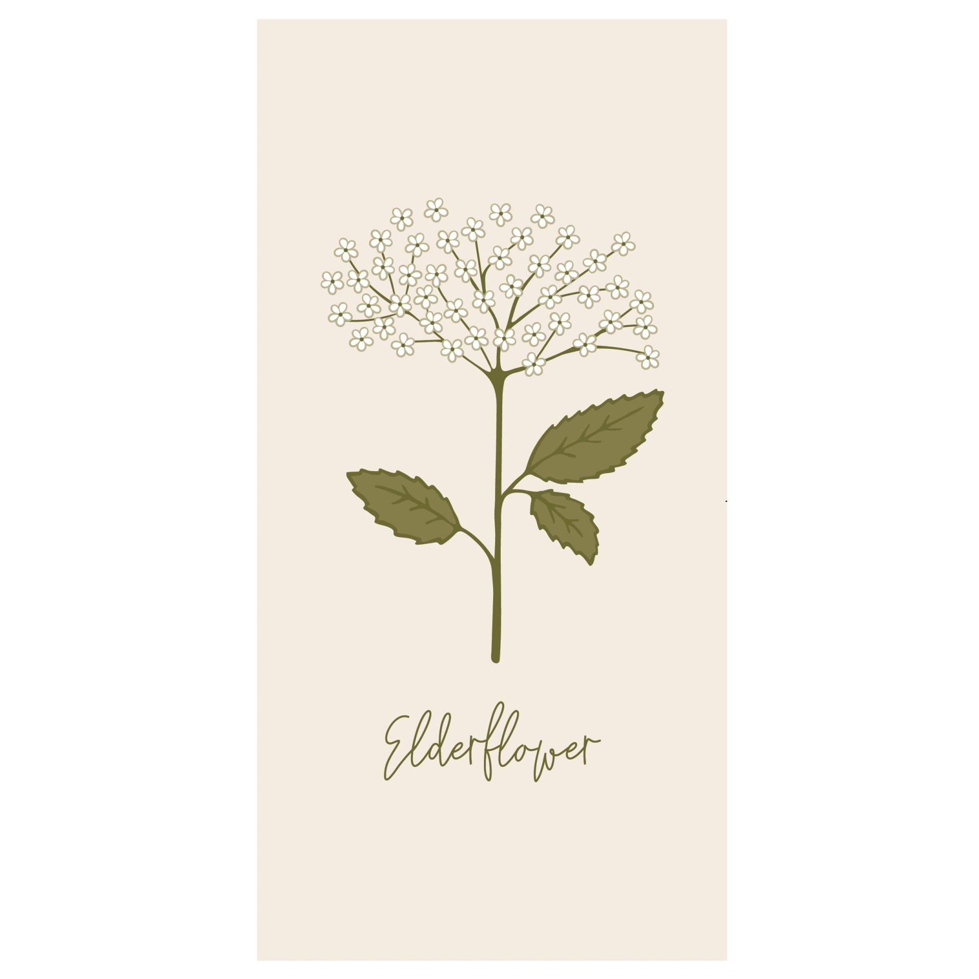 IB LAURSEN Papierové servítky Elderflower – 16 ks