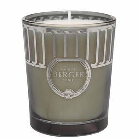 Maison Berger Paris Land sviečka Divoký bodliak, 180 g 6634