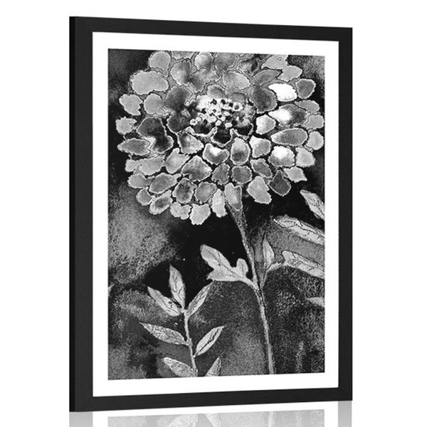 Plagát s paspartou nádherné kvety v čiernobielom prevedení - 60x90 silver