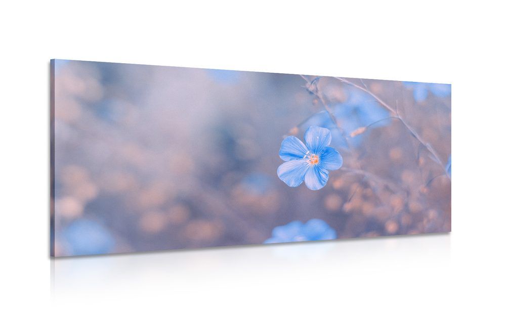 Obraz modré kvety na vintage pozadí - 120x60