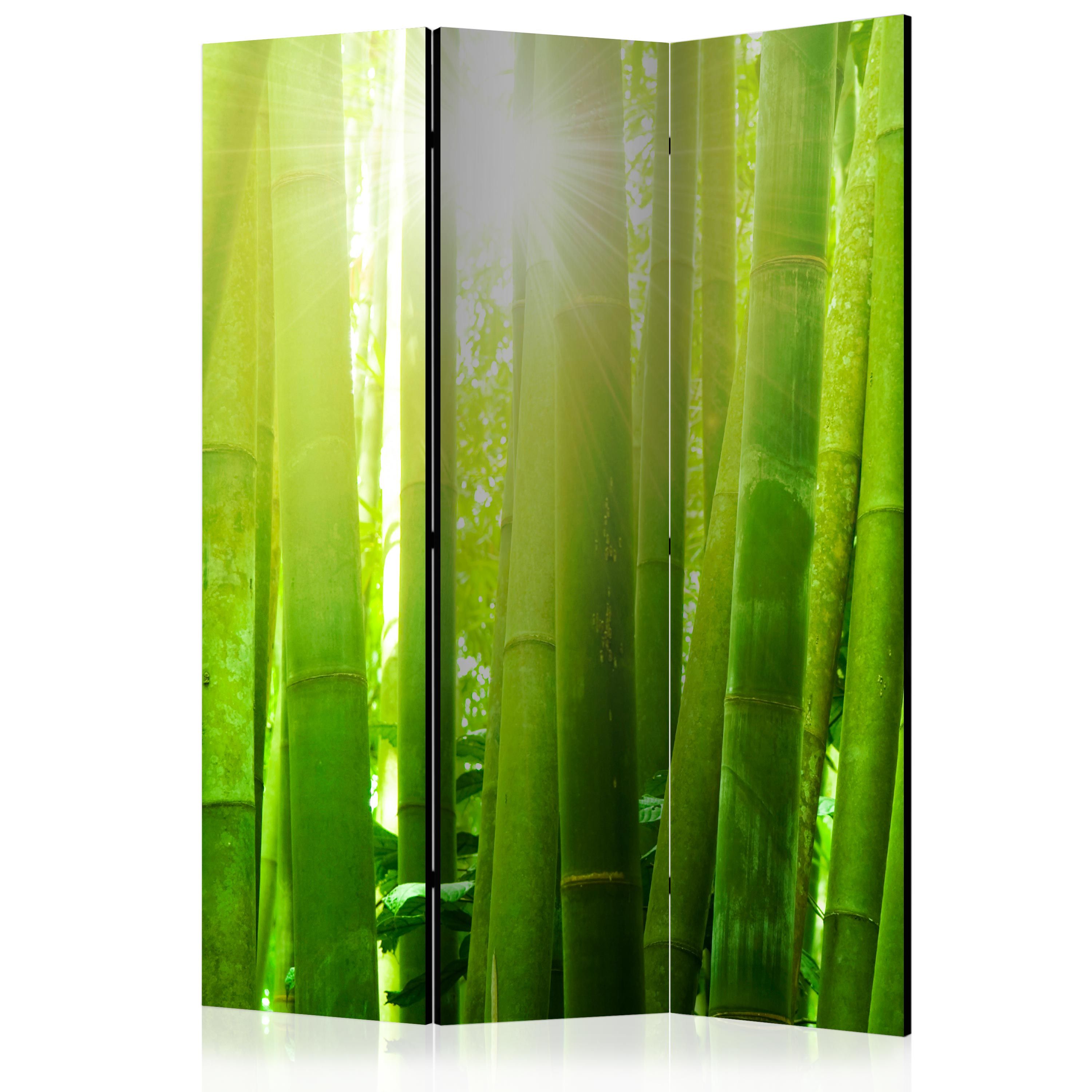 Artgeist Paraván - Sun and bamboo [Room Dividers]