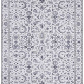 Nouristan - Hanse Home koberce Kusový koberec Asmar 104006 Platinum / Grey - 80x200 cm