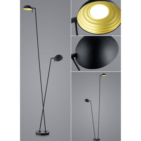 HELL Stojaca LED lampa Samy v čiernej a zlatej, 2-pl., Obývacia izba / jedáleň, železo, 12W, K: 180cm