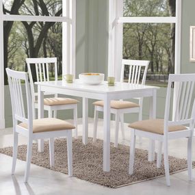 Jedálenský stôl Fiord (biela) (pre 4 osoby)
