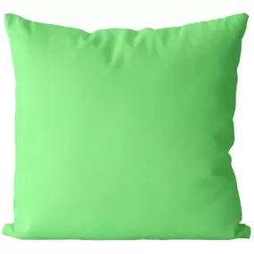 Vankúš Zelený mätový (Veľkosť: 40 x 40 cm)