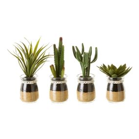 Umelé rastliny v súprave 4 ks (výška 18 cm) Cactus – Casa Selección