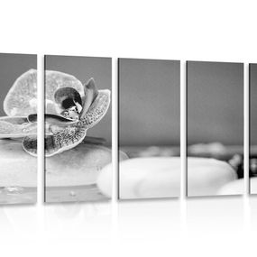 5-dielny obraz orchidea a Zen kamene v čiernobielom prevedení