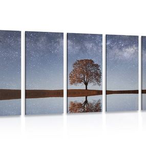 5-dielny obraz hviezdna obloha nad osamelým stromom