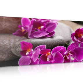 Obraz fialová orchidea a Zen kamene - 120x60