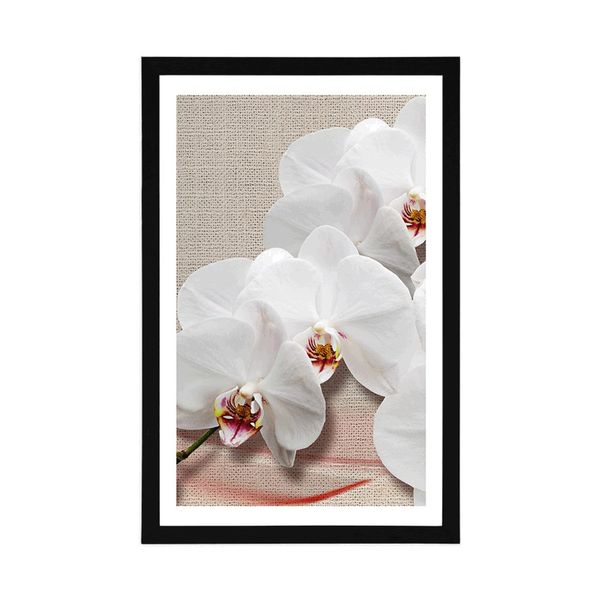 Plagát s paspartou biela orchidea na plátne - 60x90 silver