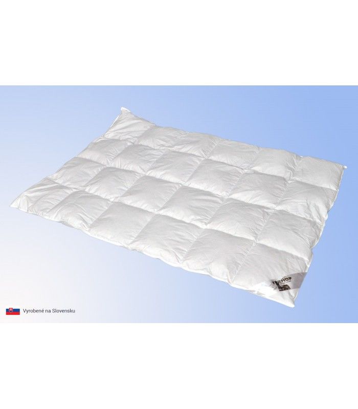 Termop set Premium 70x90/140x200 cm zimný perie/páper