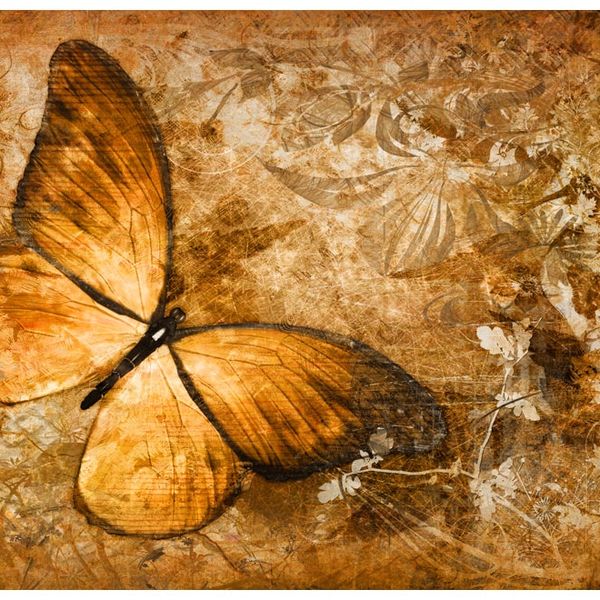 Fototapeta motýľ v sépiovom odtieni - Butterfly - 250x193
