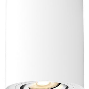 Rabalux stropní svítidlo Kobald GU10 1x MAX 42W matná bílá 2048