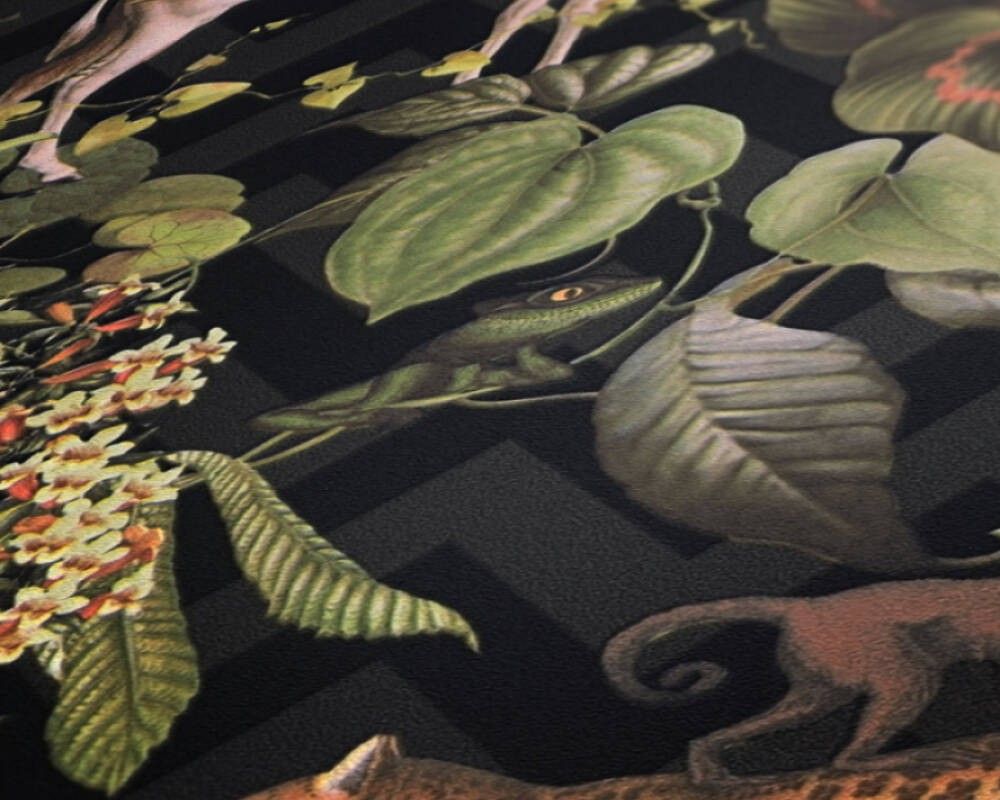 P492440012 A.S. Création vliesová tapeta na stenu Styleguide Jung 2024 džungľa, veľkosť 10,05 m x 53 cm