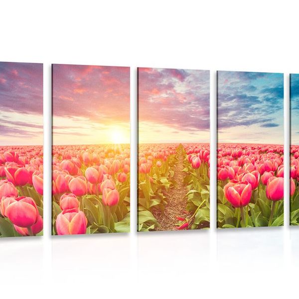 5-dielny obraz východ slnka nad lúkou s tulipánmi - 200x100