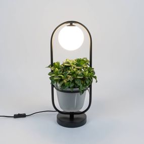 Lindby Orna stolová lampa 1-pl. závesný košík, Obývacia izba / jedáleň, železo, sklo, G9, 8W, P: 20 cm, L: 17.2 cm, K: 50cm